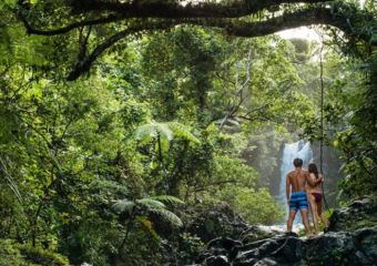 fiji-jungle-1024×465