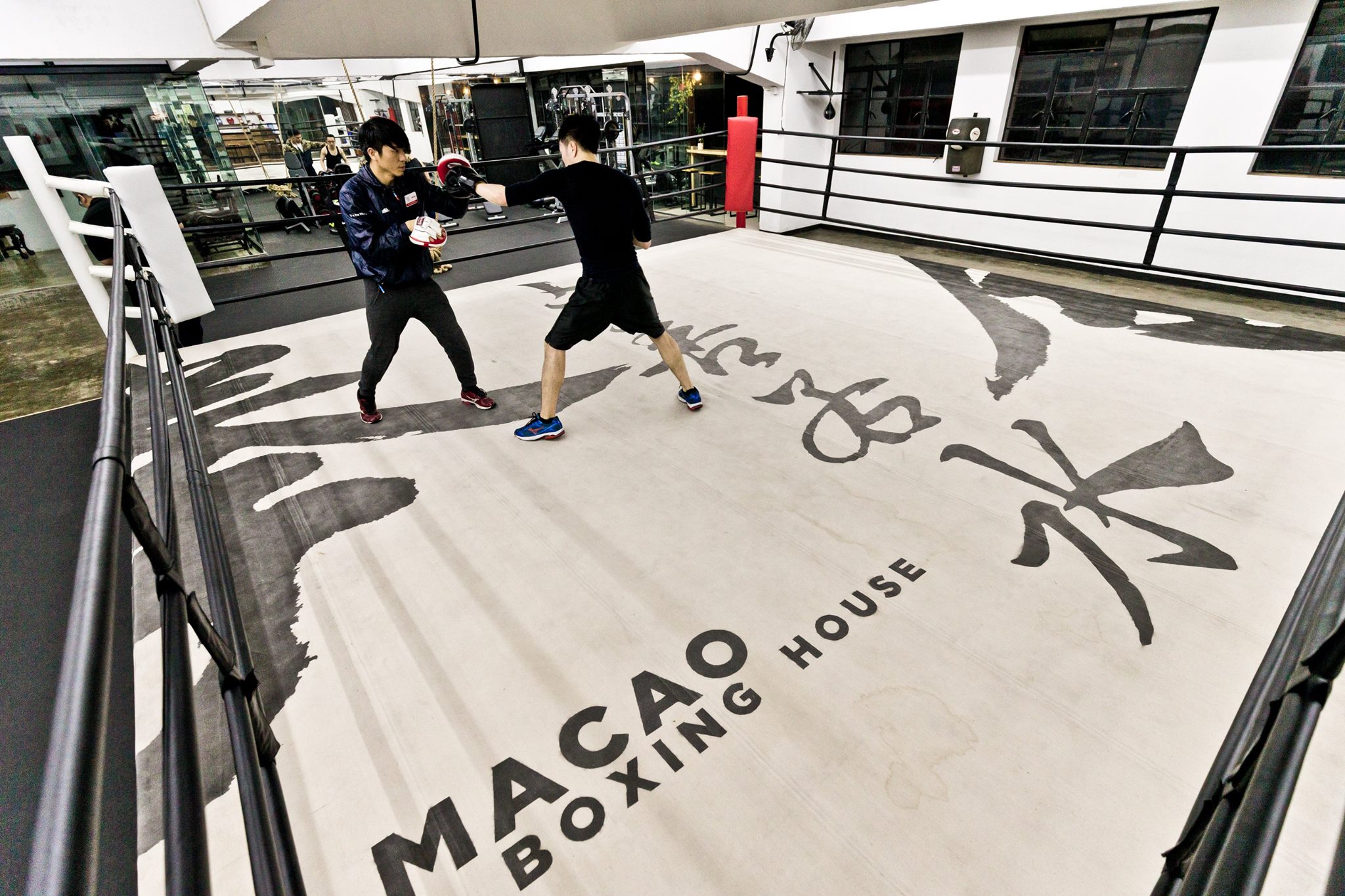 macau boxing house martial arts