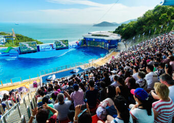 macau day trips ocean park hong kong